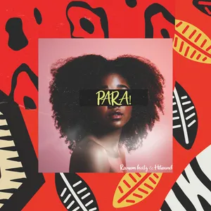 PARA Drumkit cover