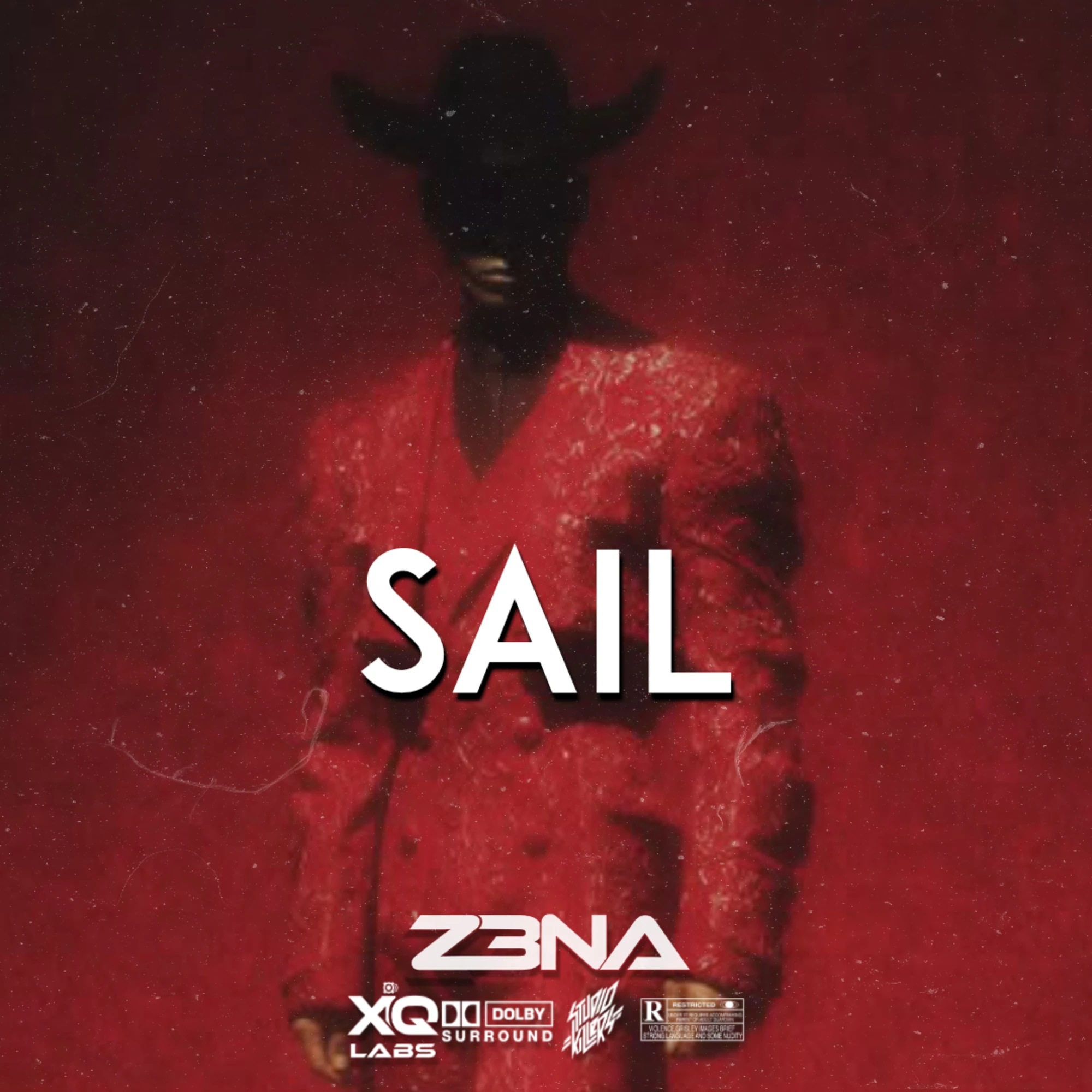 SAIL artwork