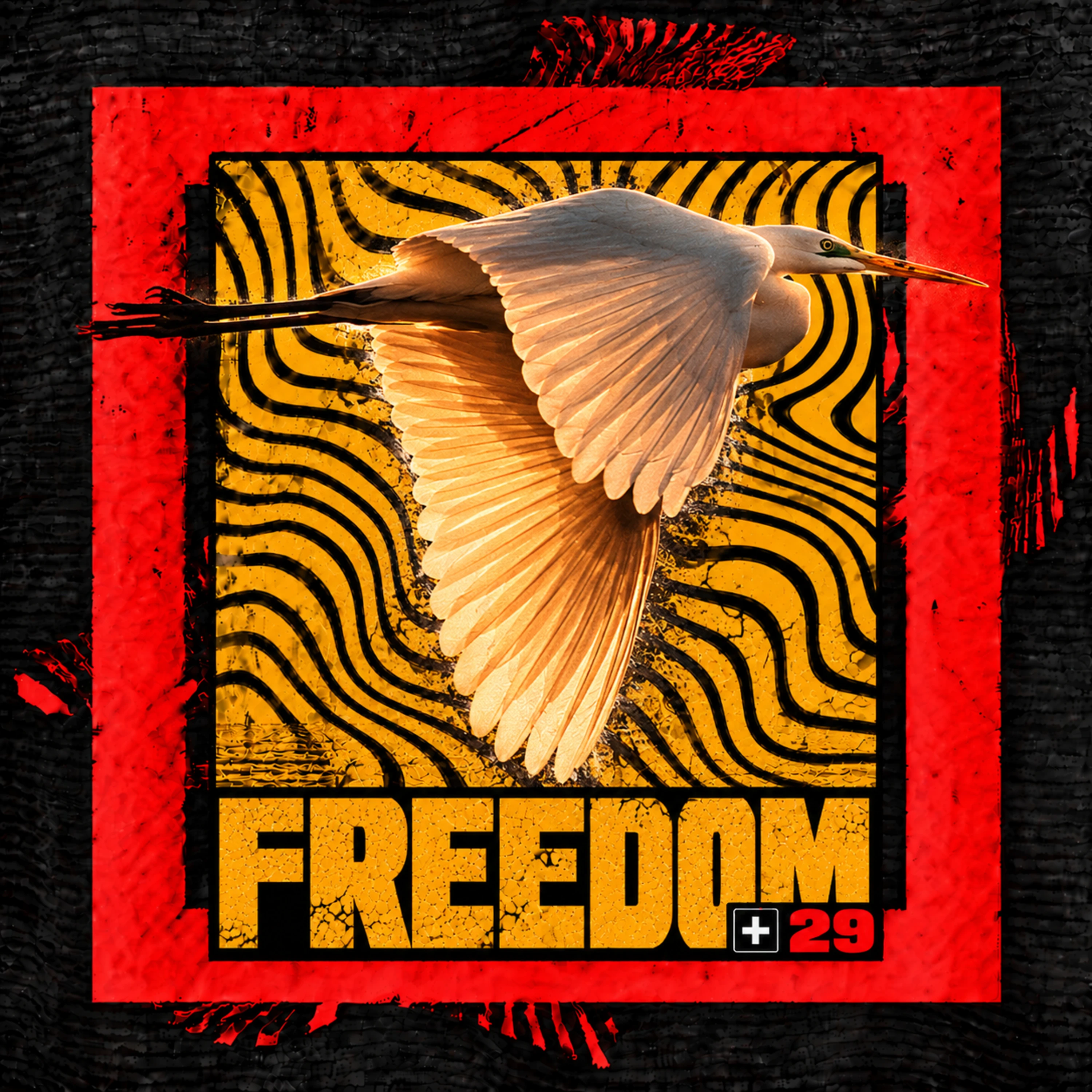 FREEDOM artwork